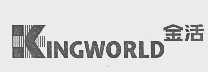 金活   KINGWORLD