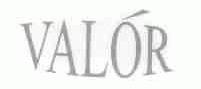 VALOR