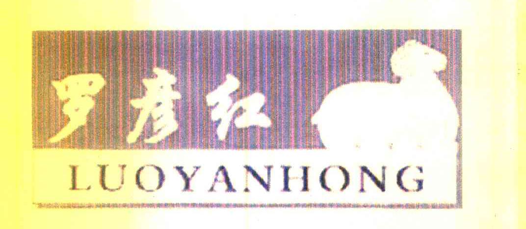 罗彦红