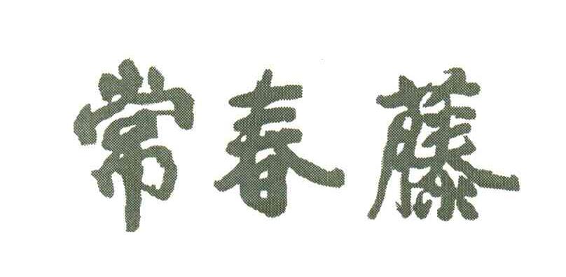 常春藤