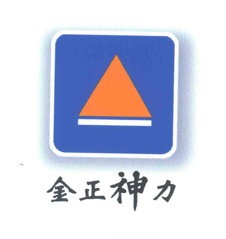 金正神力
