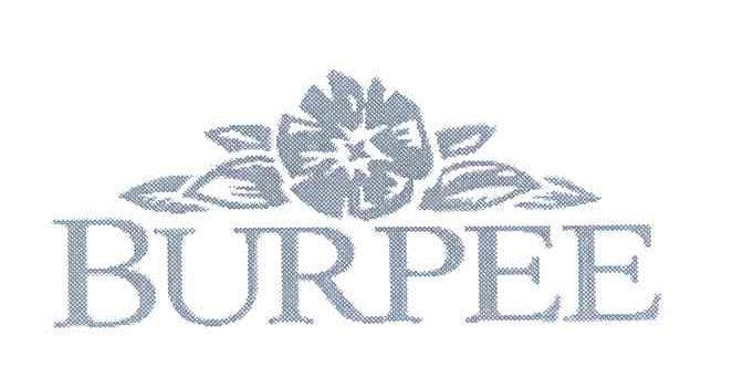 BURPEE