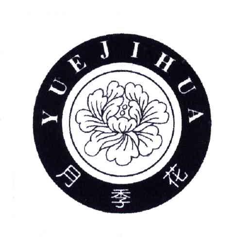 月季花