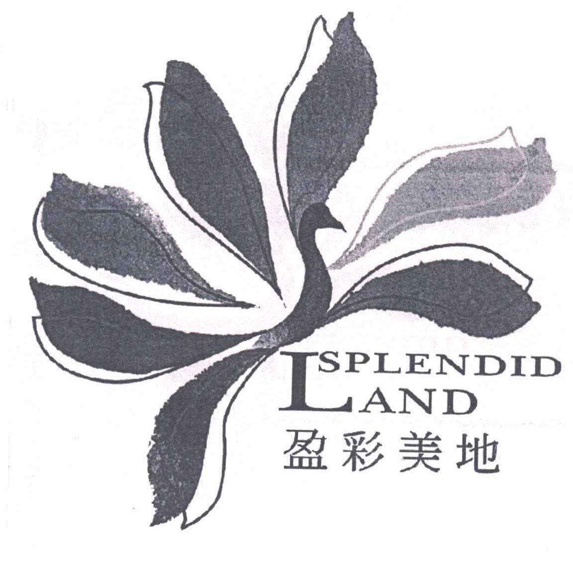 盈彩美地
