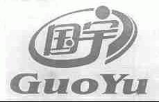 国宇