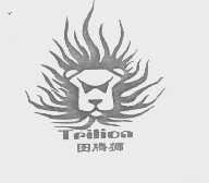 图腾狮   TPILION