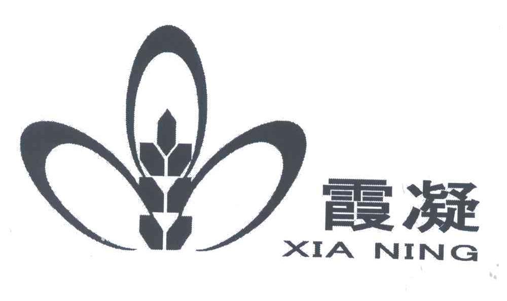 霞凝