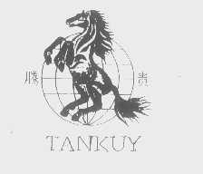 腾贵   TANKUY