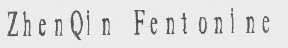 ZHEN QIN FENTONINE