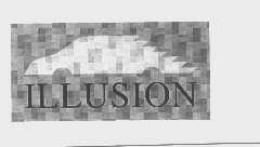 ILLUSION
