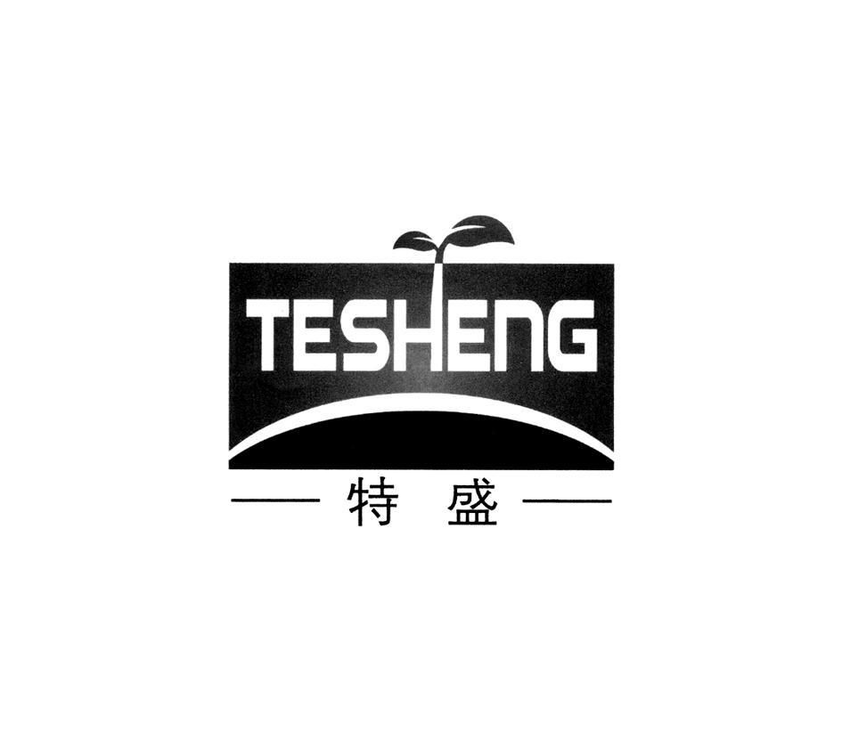 特盛