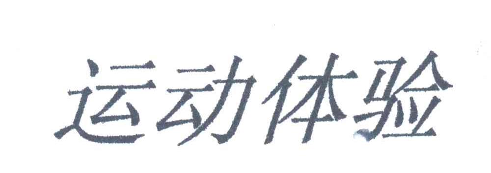 运动体验