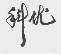 科优