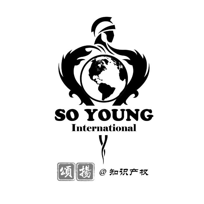 颂扬@知识产权 SO YOUNG INTERNATIONAL