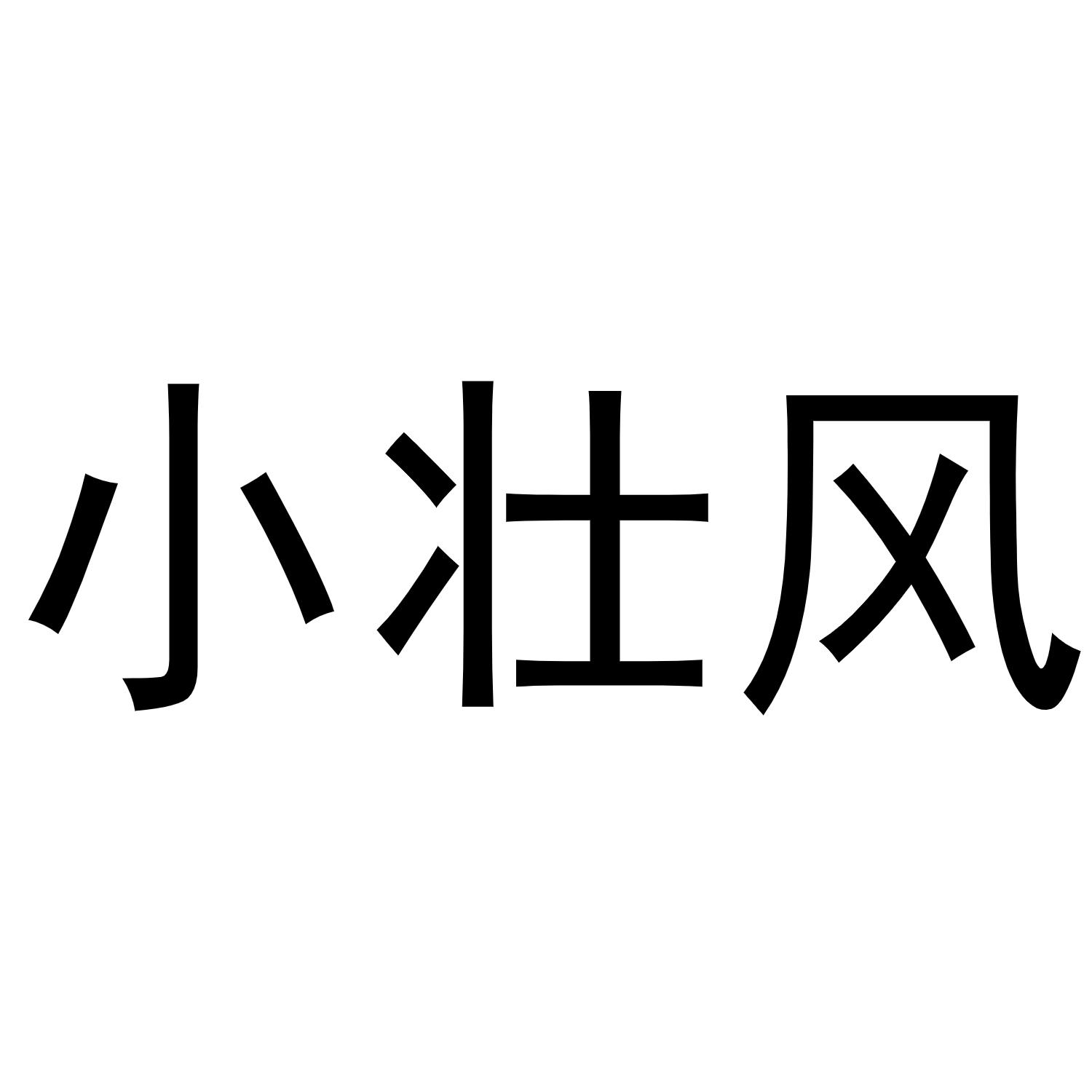 小壮风