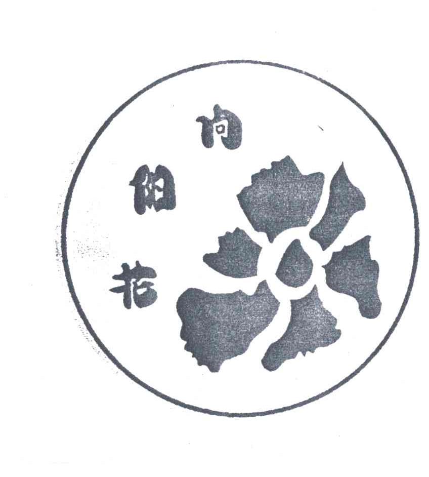 向阳花