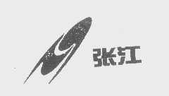 张江
