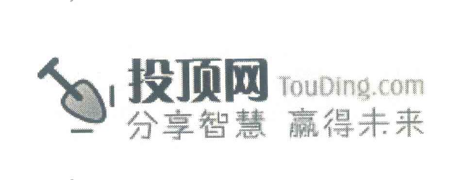 投顶网分享智慧 赢得未来;TOUDING.COM