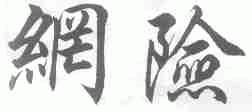 网险