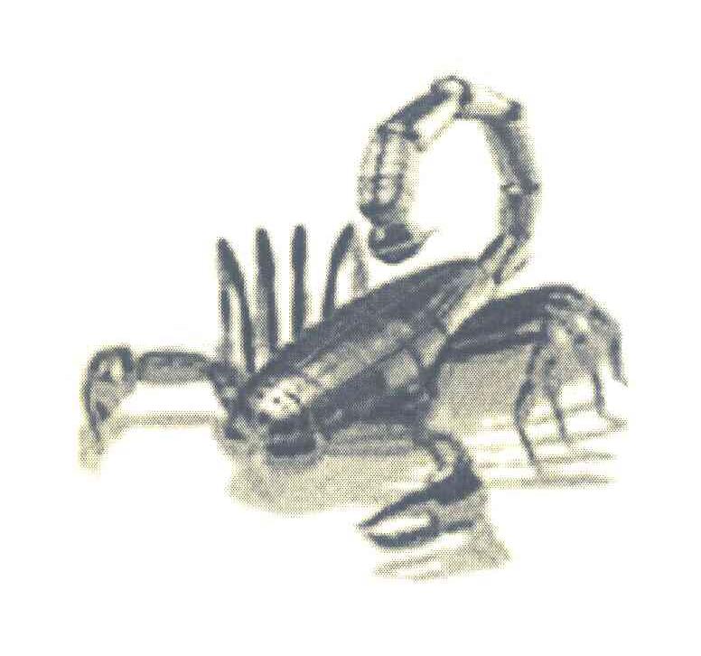 图形