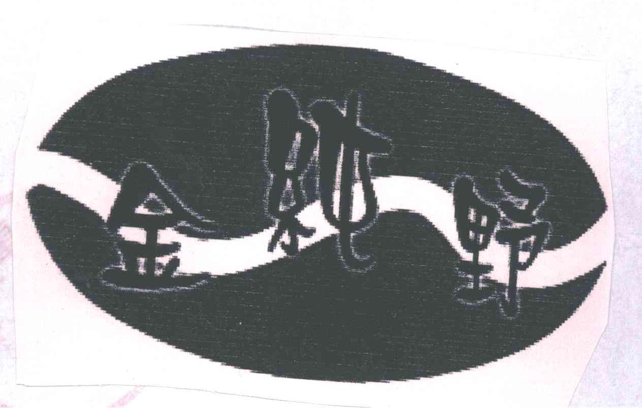 金纯野