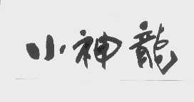小神龙