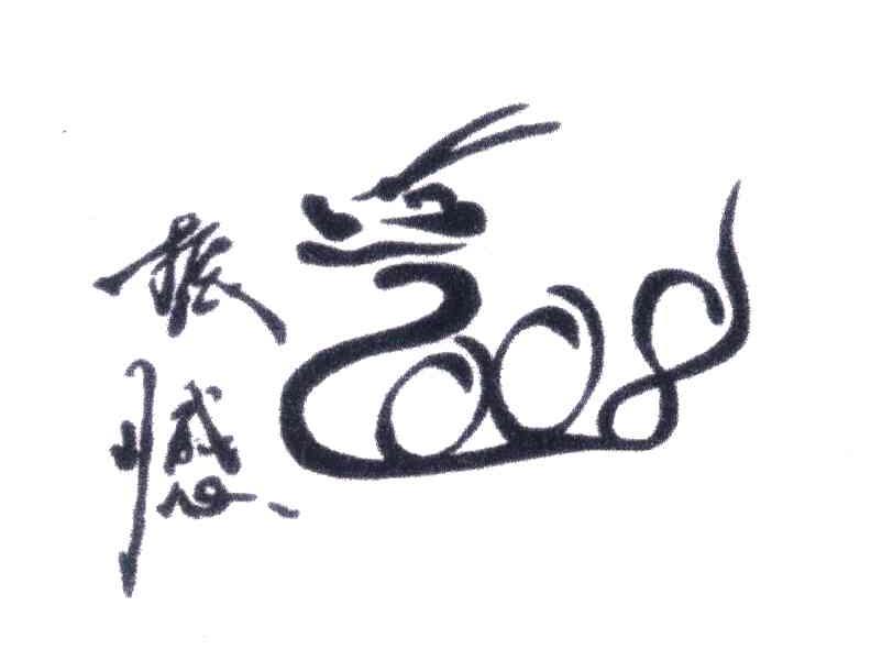 振憾;2008