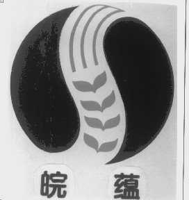 皖蕴