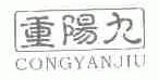 重阳九;CONGYANJIU