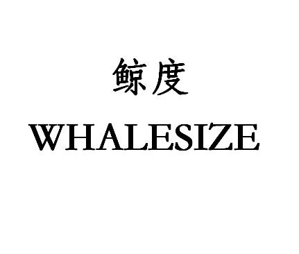 鲸度 WHALESIZE