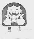 智力