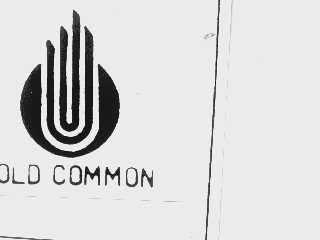 GOLD COMMON