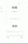 白玉