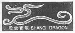 殷鼎实龙;SHANG DRAGON