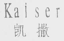 凯撒  KAISER