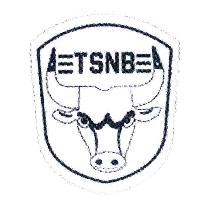 TSNB