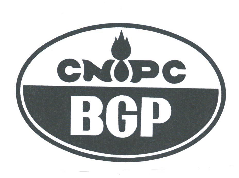 CNPC BGP