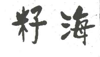 籽海