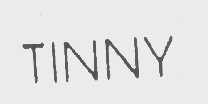 TINNY