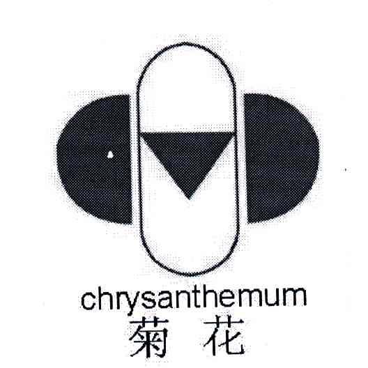 CHRYSANTHEMUM;菊花