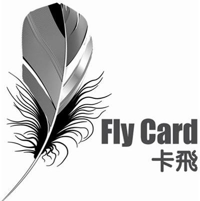 卡飞 FLY CARD
