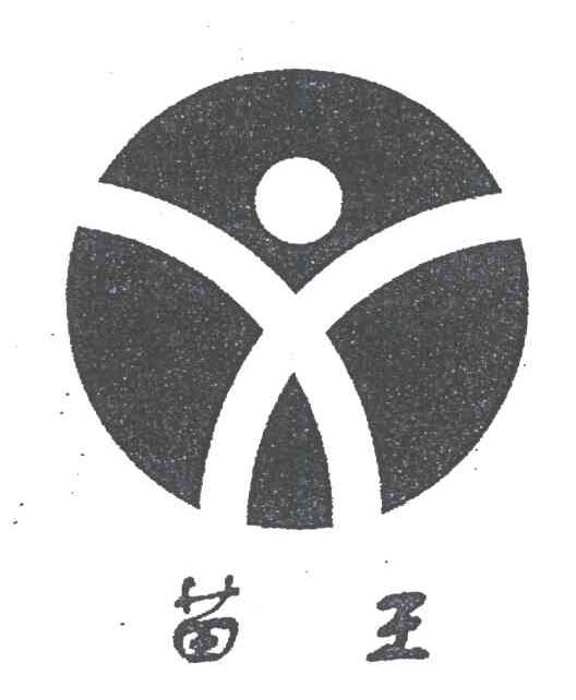 苗王