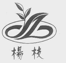 杨枝