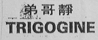 TRIGOGINE    弟哥静