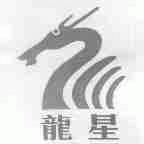 龙星