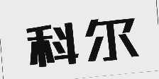 科尔