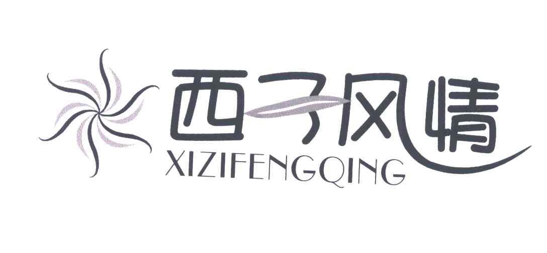 西子风情及图形