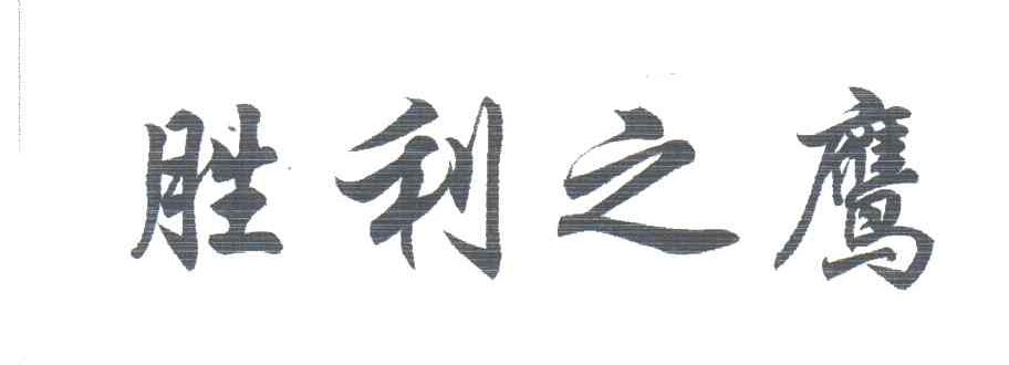 胜利之鹰