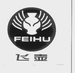 飞壶