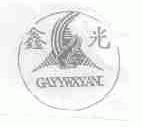鑫光;GAYYWXYAN